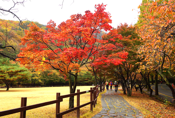 금오산